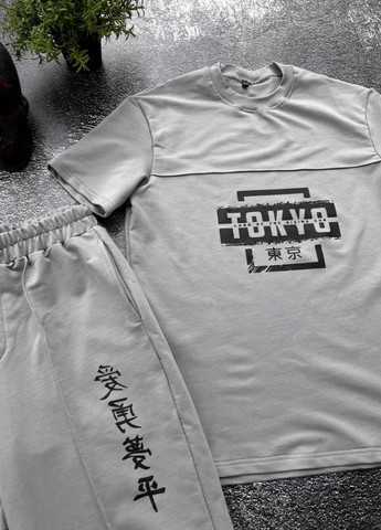 Костюм чоловічий сірий футболка шорти No Brand (262089000)