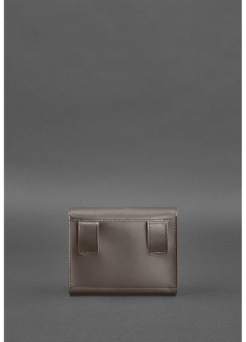 Жіноча шкіряна поясна сумка / кроссбоді Mini темно-бежева BN-BAG-38-2-BEIGE BlankNote (277978049)
