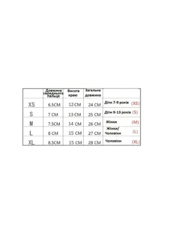 Перчатки лыжные с сенсорным покрытием (ЗП-1001-24), XL No Brand тип 2 (256627001)