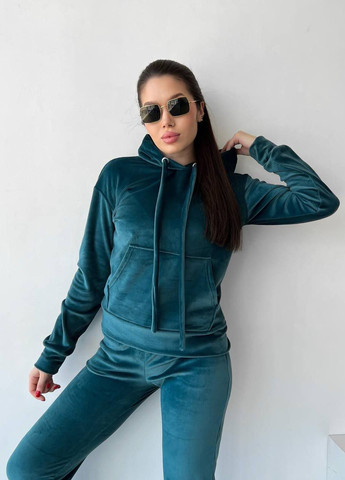 Спортивный велюровый костюм LeVi (262738209)