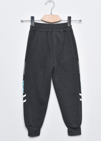 Спортивні штани дитячі для хлопчика на флісі темно-сірого кольору Let's Shop (273901368)
