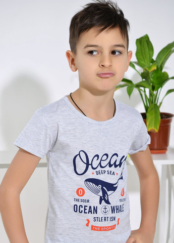 Серая футболки сорочки футболка на хлопчика сіра (ocean) Lemanta