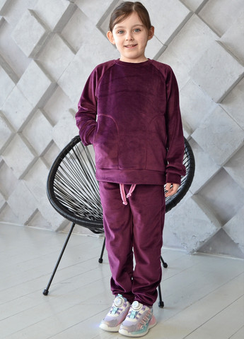 Велюровий дитячий спортивний костюм ZM (258019212)