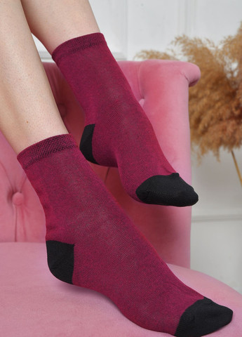 Шкарпетки жіночі бордового кольору розмір 38-41 Let's Shop (261406776)