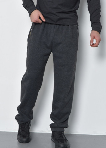 Спортивні штани чоловічі на флісі темно-сірого кольору Let's Shop (269387610)
