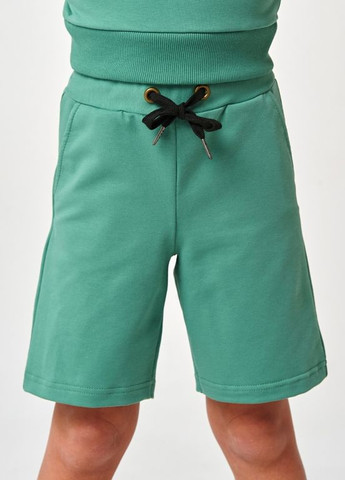Детские шорты | 95% Хлопок | Демисезон | 92, 98, 104, 110, 116 | Удобные и стильные со шнурком Зеленый Smil (277694325)