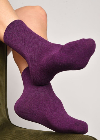 Носки женские демисезонные фиолетового цвета размер 35-41 Let's Shop (277983337)