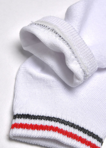 Шкарпетки чоловічі спортивні білого кольору розмір 41-45 Let's Shop (278050284)