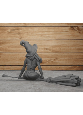 Ведьма на метле. ЗаСвіт (266425299)