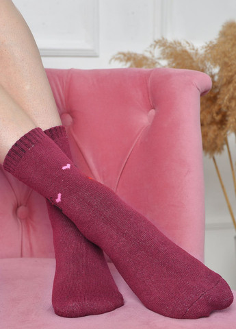 Шкарпетки махрові жіночі бордового кольору розмір 37-42 Let's Shop (261762246)