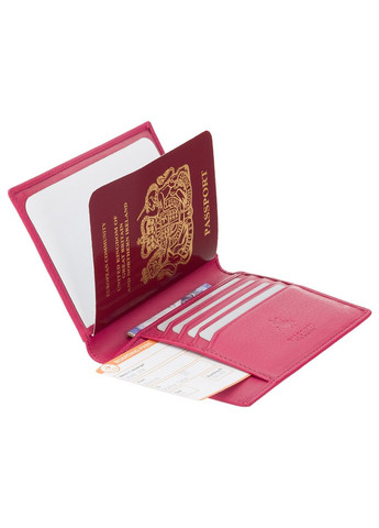 Обложка на паспорт из кожи Polo 2201 blk Visconti (263135535)