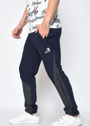 Спортивні штани чоловічі темно-синього кольору Let's Shop (260474390)