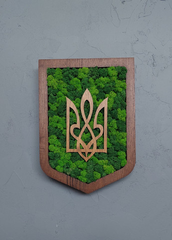 Деревянный сувенир со стабилизированным мхом с украинской символикой гербом 26х20х3 см (475812-Prob) Зелено-салатовый мох Unbranded (271813779)