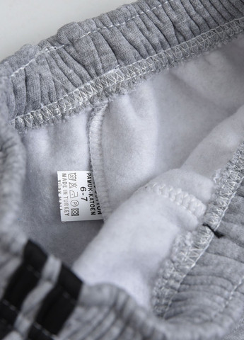 Спортивні штани дитячі для хлопчика на флісі сірого кольору Let's Shop (273901342)