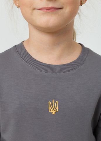 Серый демисезонный повседневный, кэжуал лонгслив Мальви с украинской символикой