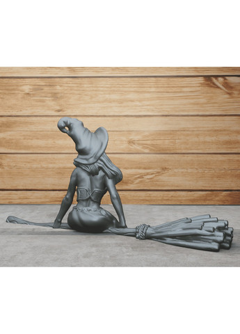 Ведьма на метле. ЗаСвіт (266425492)