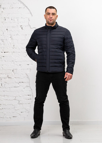 Темно-синяя демисезонная мужская демисезонная куртка большого размера бренд vavalon SK