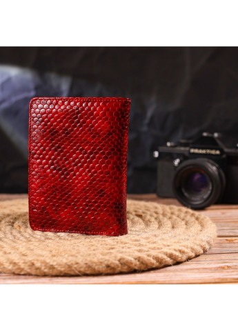 Жіночий гаманець Canpellini (258793747)