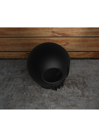 Череп прибульця ЗаСвіт (266425211)