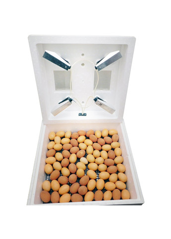 Інкубатор для яєць на 80 яєць (електронний терморегулятор) Утос (259425866)