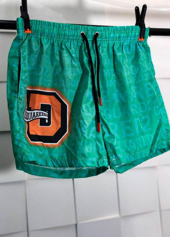 Зелені чоловічі пляжні шорти No Brand (262089066)