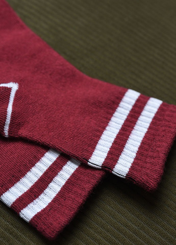 Шкарпетки дитячі бордового кольору Let's Shop (276382801)