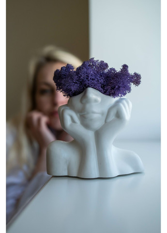 Декоративне кашпо Леді білосніжна з фіолетовим мохом Trensi (258330538)