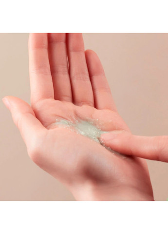 Ензимна пудра-маска з полином Original Wormwood Enzyme Cleansing Pack 80 г Fraijour (276844175)