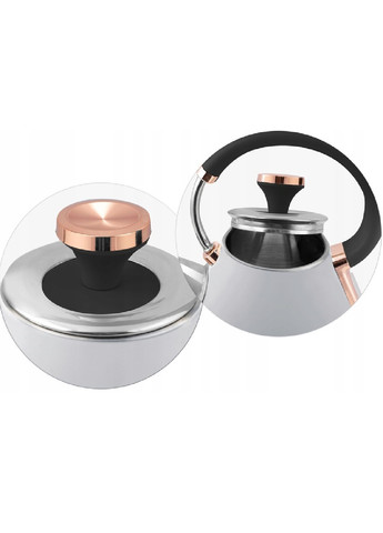 Електрочайник електричний ергономічний чайник з термометром метал 1,7 л 2200 Вт 29х23 см (475180-Prob) Сірий Unbranded (262885691)