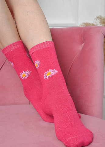 Шкарпетки махрові жіночі рожевого кольору розмір 37-42 Let's Shop (261762278)