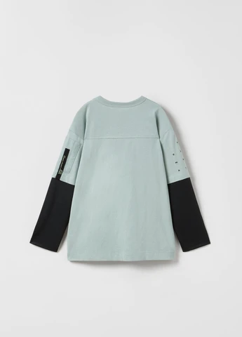 Реглан для мальчика 4873779506 Zara (257418720)