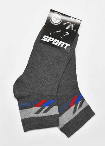 Шкарпетки чоловічі спортивні сірого кольору розмір 41-45 Let's Shop (278050351)