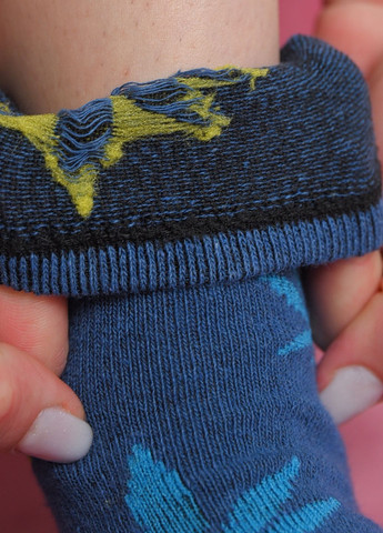 Шкарпетки жіночі демісезонні синього кольору Let's Shop (273176772)