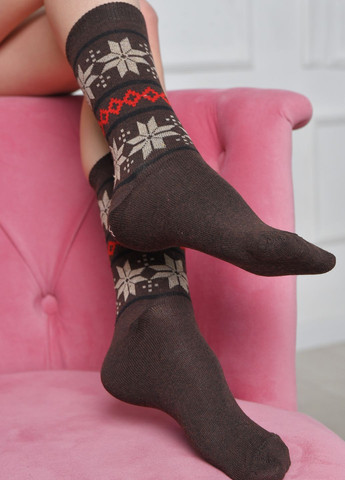 Шкарпетки жіночі з малюнком темно-коричневого кольору розмір 36-40 Let's Shop (273176769)