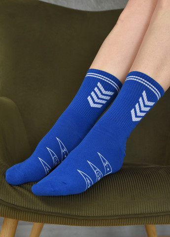 Шкарпетки жіночі високі синього кольору розмір 38-41 Let's Shop (258618880)