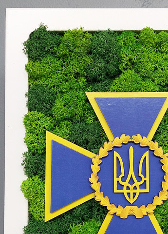 Дерев'яний сувенір зі стабілізованим мохом з українською національною символікою 24х15х4 см (475813-Prob) Зелено-салатовий мох Unbranded (271813768)