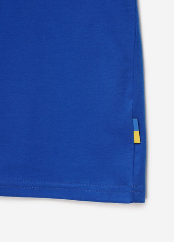 Синя демісезонна футболка original дит синя Bravery