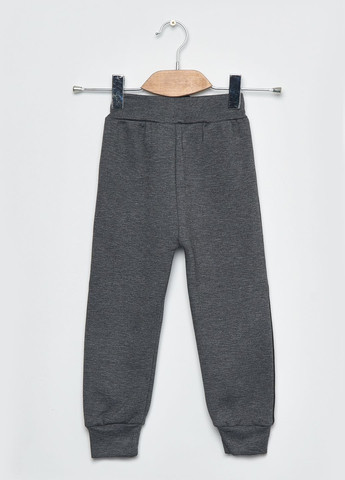 Спортивні штани дитячі для хлопчика на флісі сірого кольору Let's Shop (270364882)