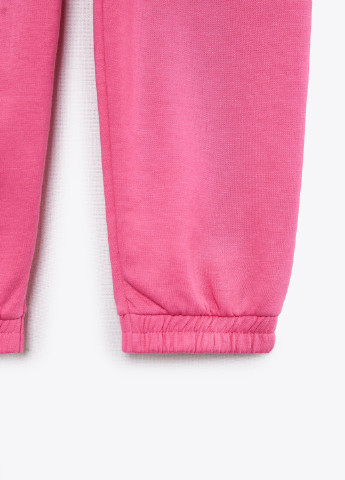 Спортивные брюки Zara (256773811)