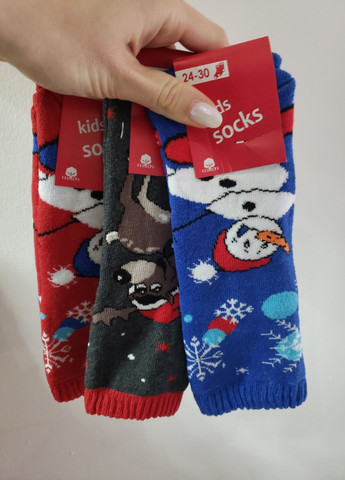 Набір шкарпеток дитячих махрових No Brand (276267472)