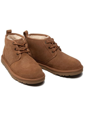 Чоловічі ботинки уггі UGG men's neumel chestnut (262158848)
