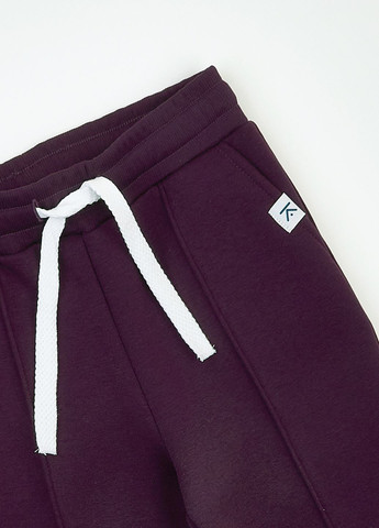 Фиолетовые спортивные демисезонные джоггеры брюки KRAKO