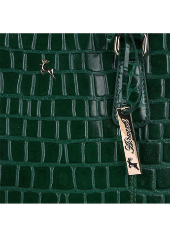 Жіноча шкіряна сумка C54 Bordo (Бургундія) Ashwood (262087237)