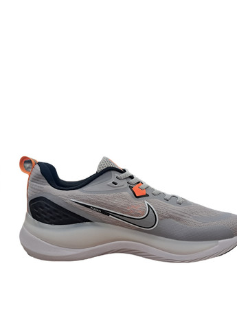 Сірі всесезон кросівки чоловічі Nike ZOOM WINFLO 10 I-FREE