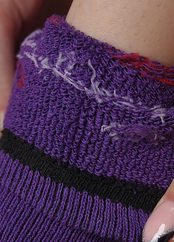 Шкарпетки махрові жіночі фіолетового кольору розмір 36-41 Let's Shop (268371100)