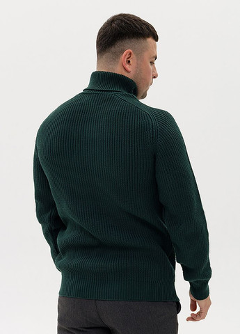 Зеленый зимний мужской свитер цвет зеленый цб-00232893 Figo