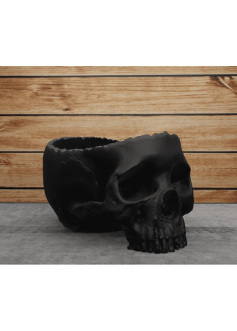 Відкритий череп. ЗаСвіт (266425032)