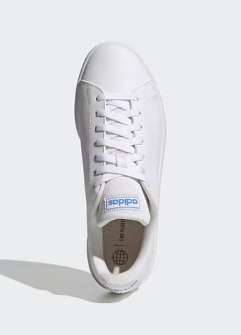 Чоловічі білі повсякденні кросівки Base Court (GW9285). Оригінал. Розмір 39.3 EU (24.2 см) adidas білі (262808199)