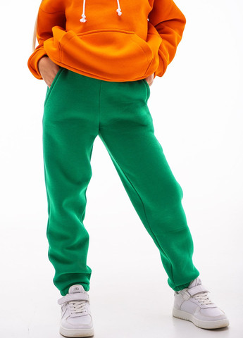 Утеплений дитячий спортивний костюм для дівчинки/хлопчика на флісі Kindamor warm winter (264385331)