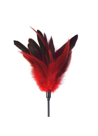 Лоскітка червона Art of Sex - Feather Paddle, перо молодого півня ADDICTION (258261675)